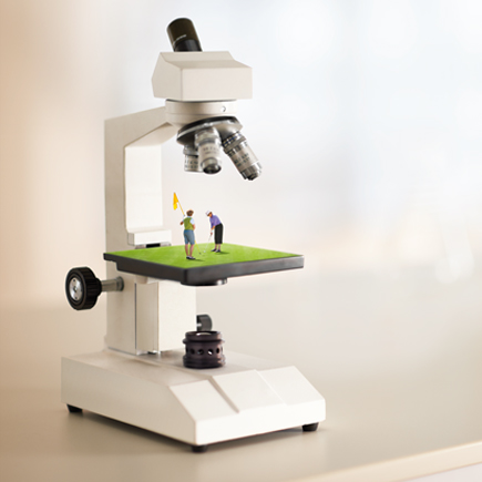 Campaign image microscope 